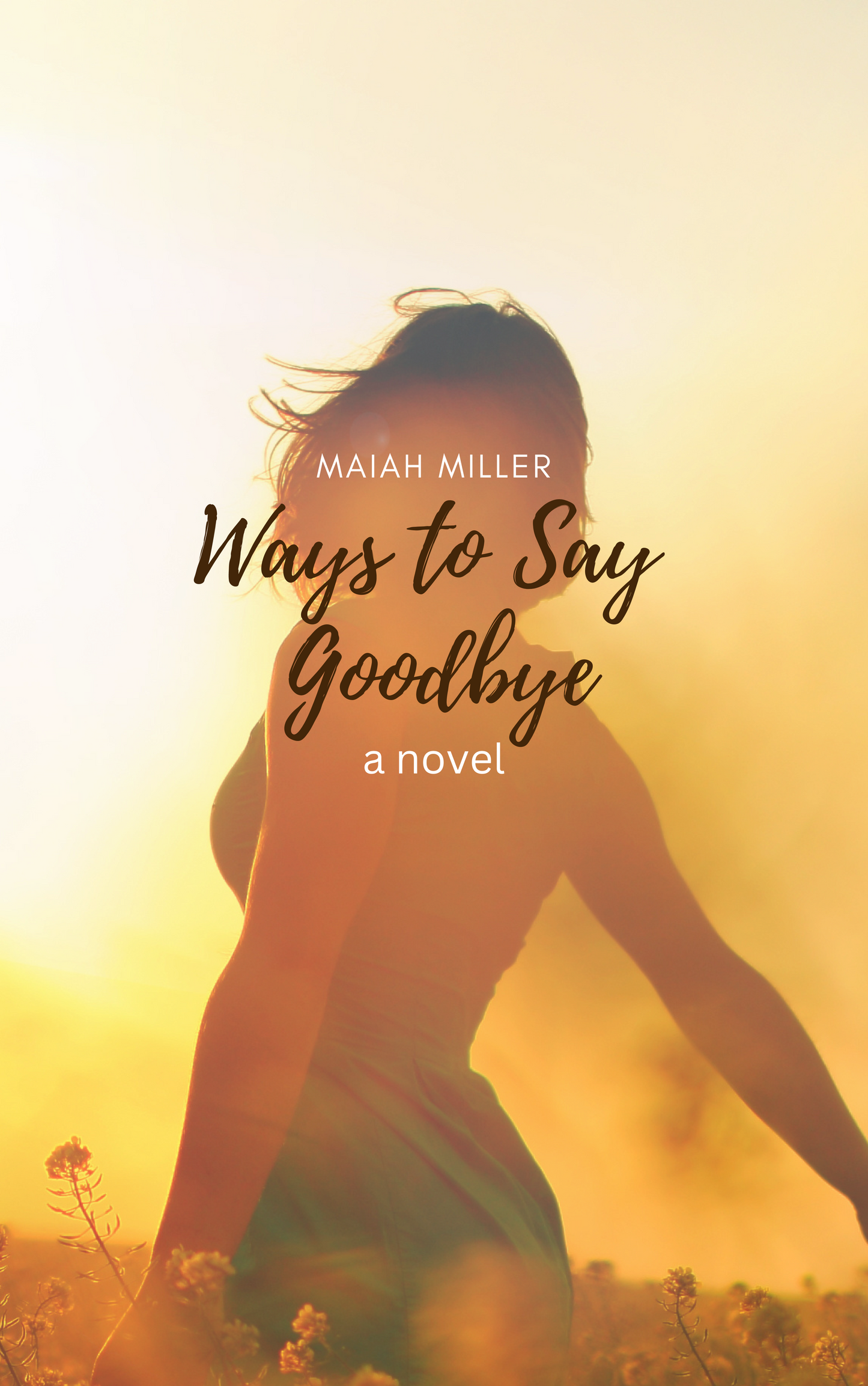 Ways to Say Goodbye: a novel
